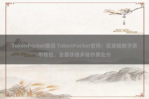 TokenPocket提现 TokenPocket官网：区块链数字货币钱包，全面扶植多链钞票处分